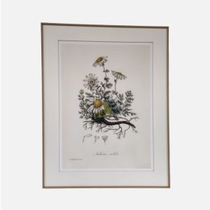 Nº 262<br> 93x73 cm. - 110 puntos